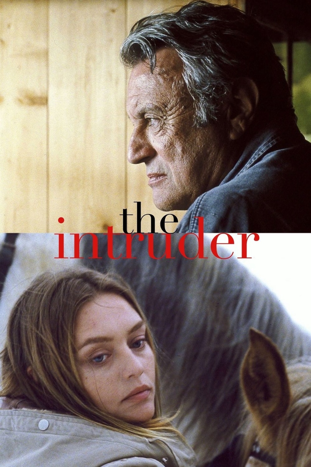 O Intruso