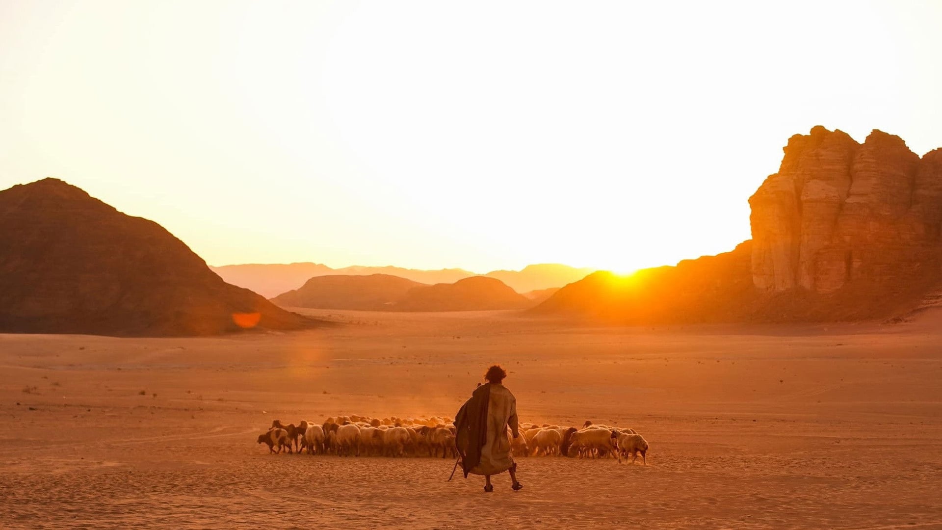 Foto do filme Vida de Cabra