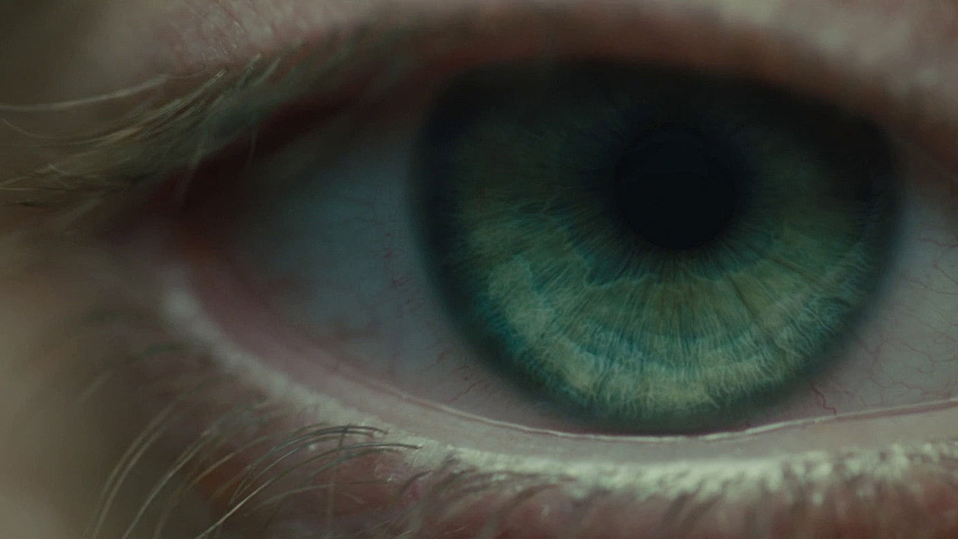 Foto do filme Blade Runner 2036: Despontar do Nexus