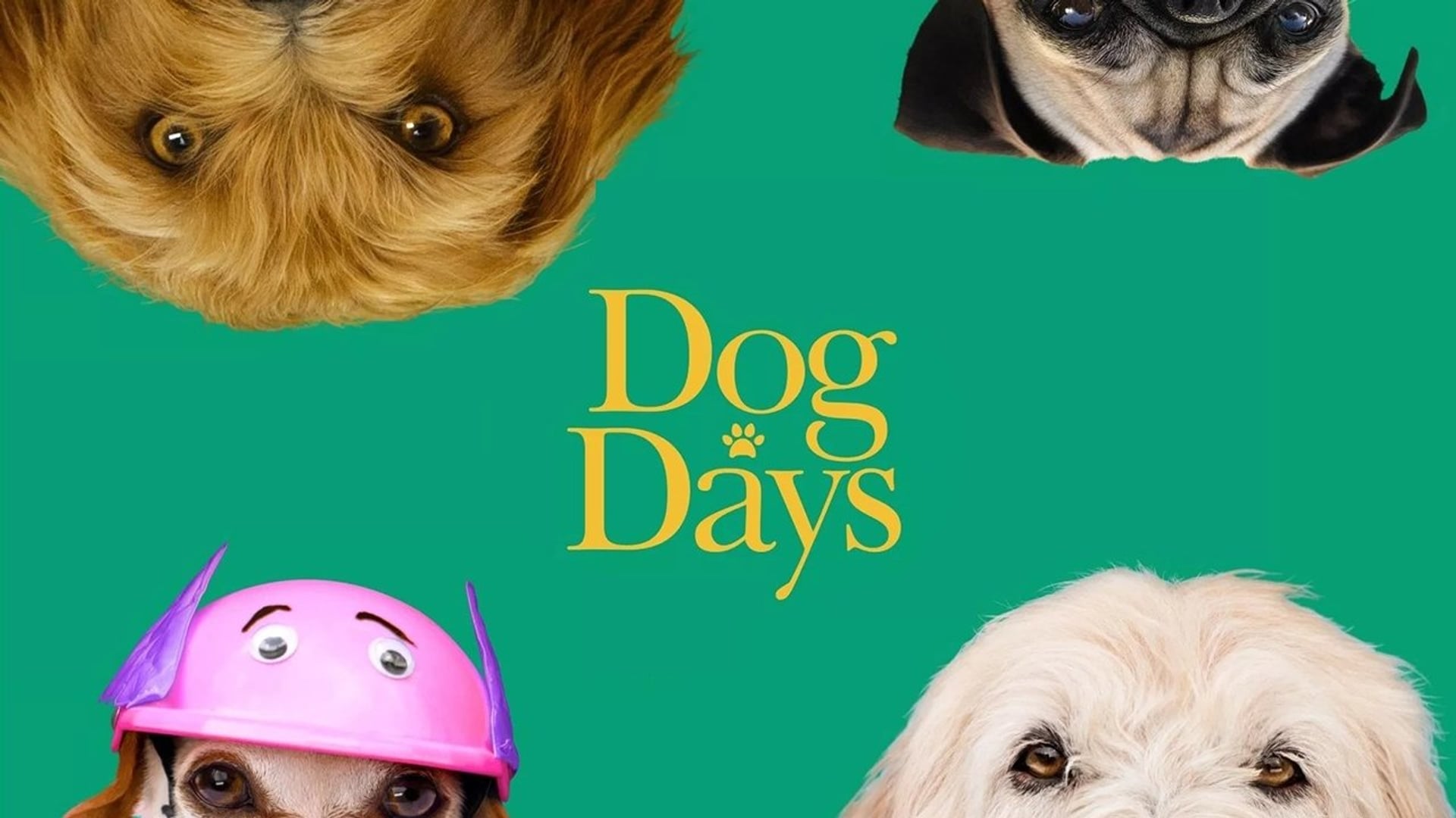 Foto do filme Nossa Vida com Cães