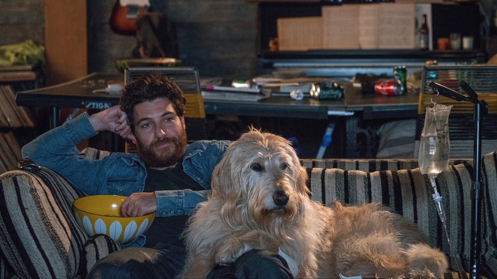 Foto do filme Nossa Vida com Cães
