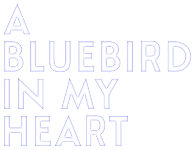 Foto do filme A Bluebird in My Heart