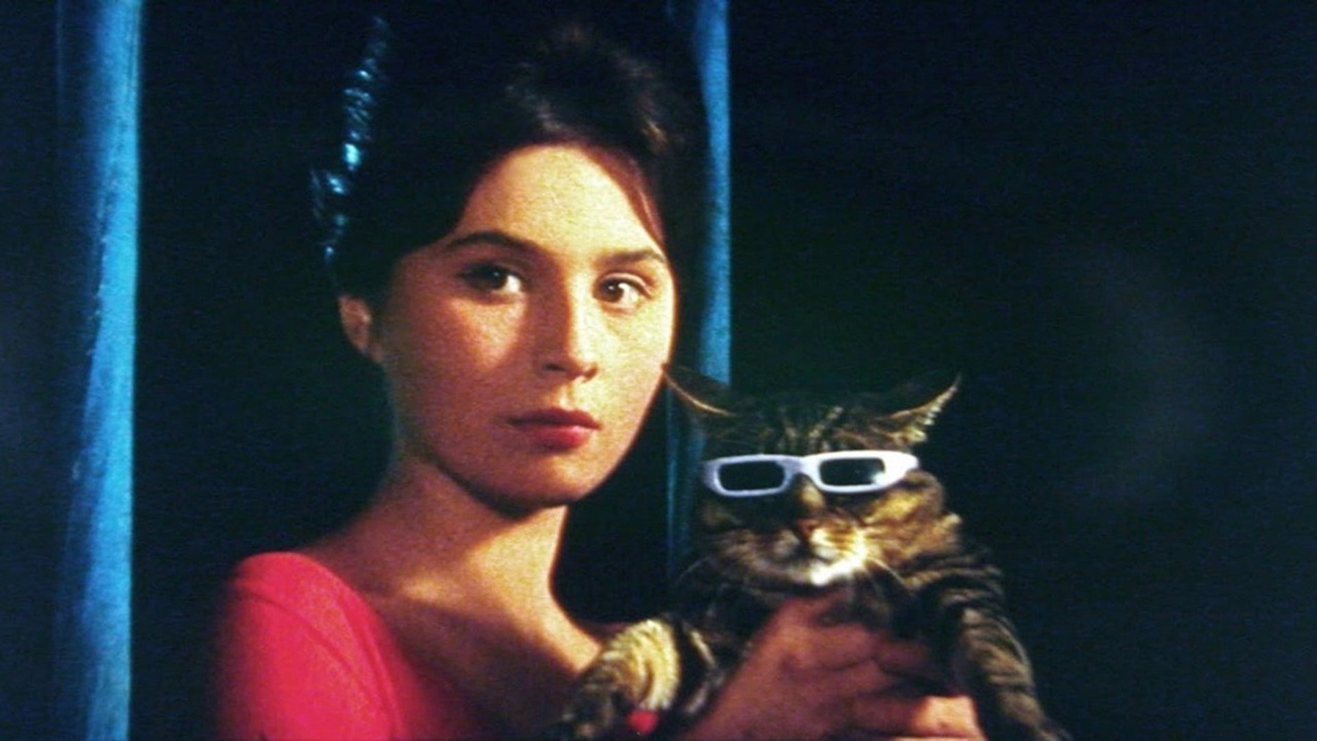 Foto do filme Um Dia, um Gato