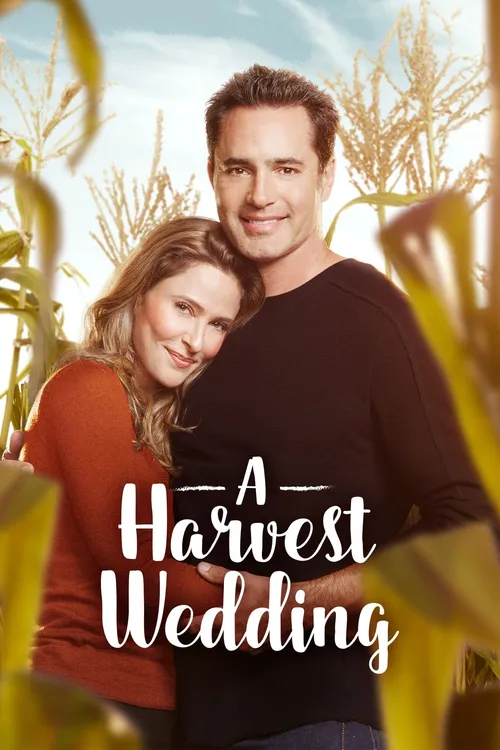Um Casamento com meu Ex