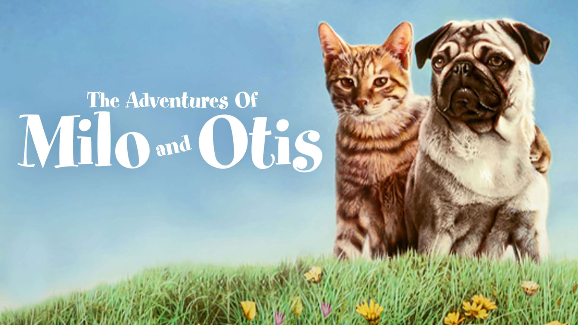 Foto do filme As Aventuras de Chatran