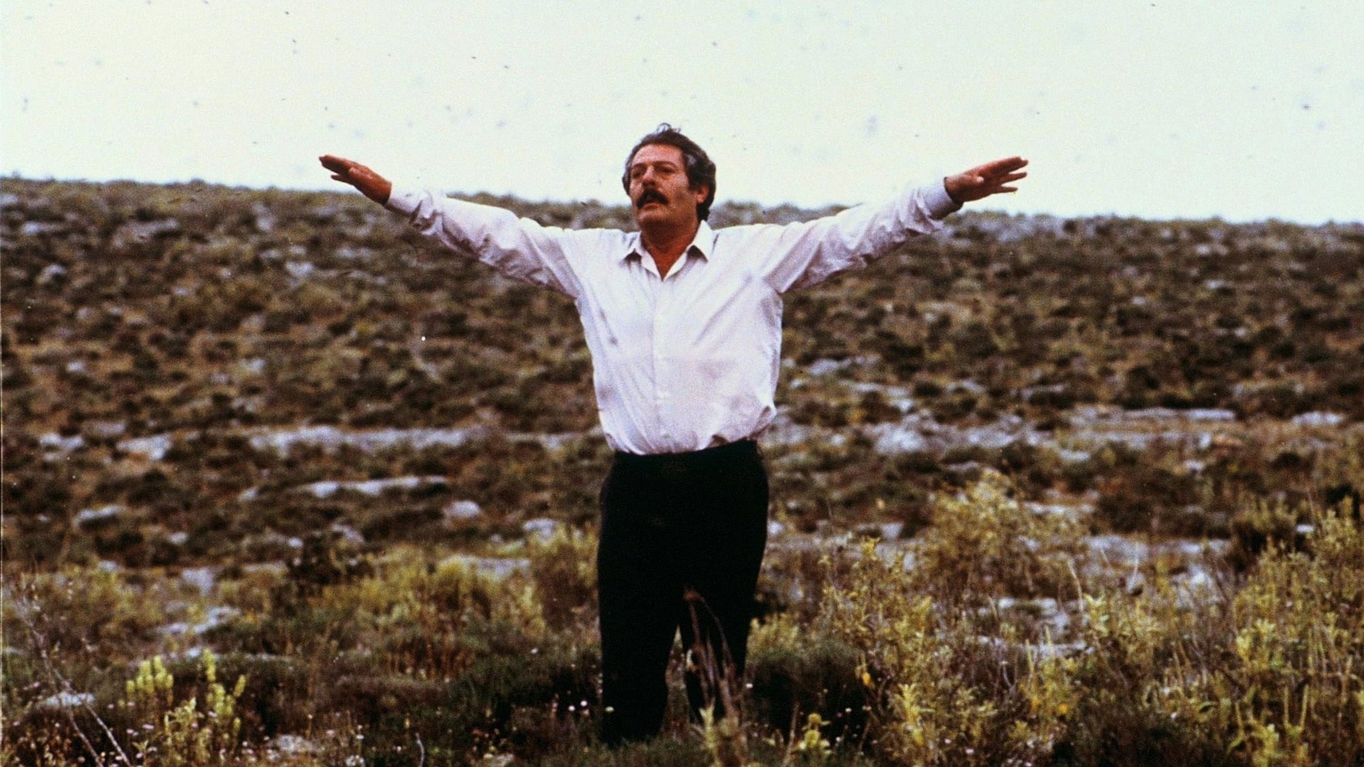 Foto do filme O Apicultor