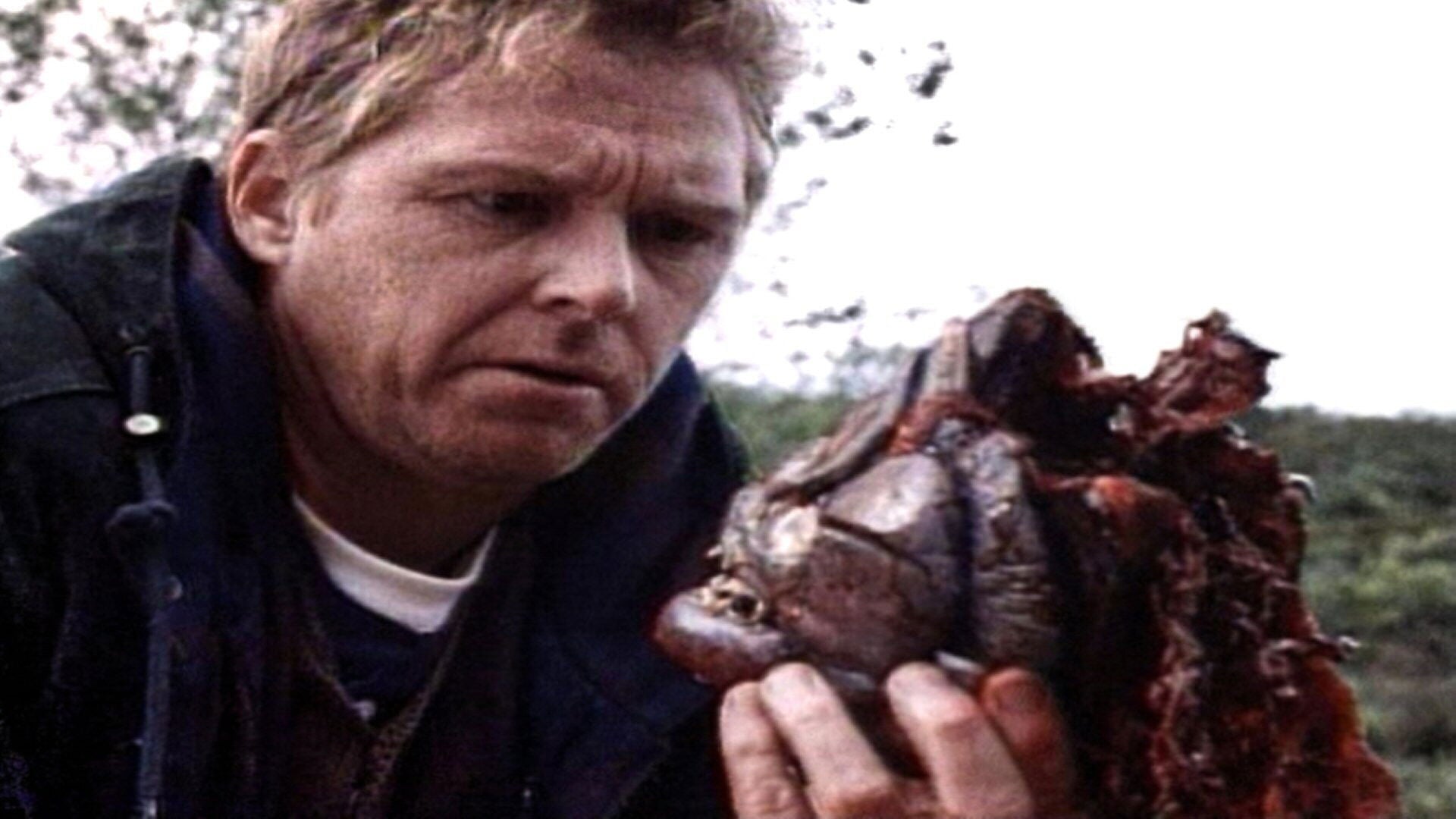 Foto do filme Piranha