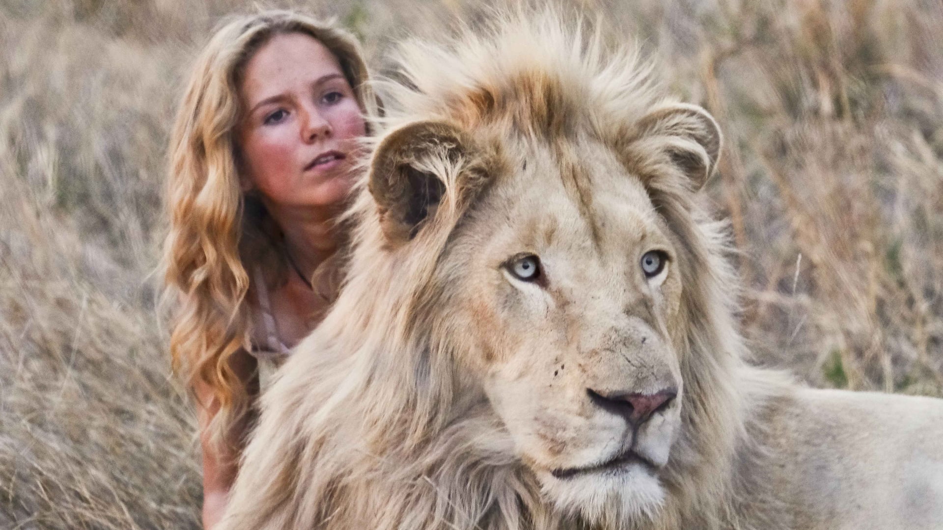 Foto do filme A Menina e o Leão