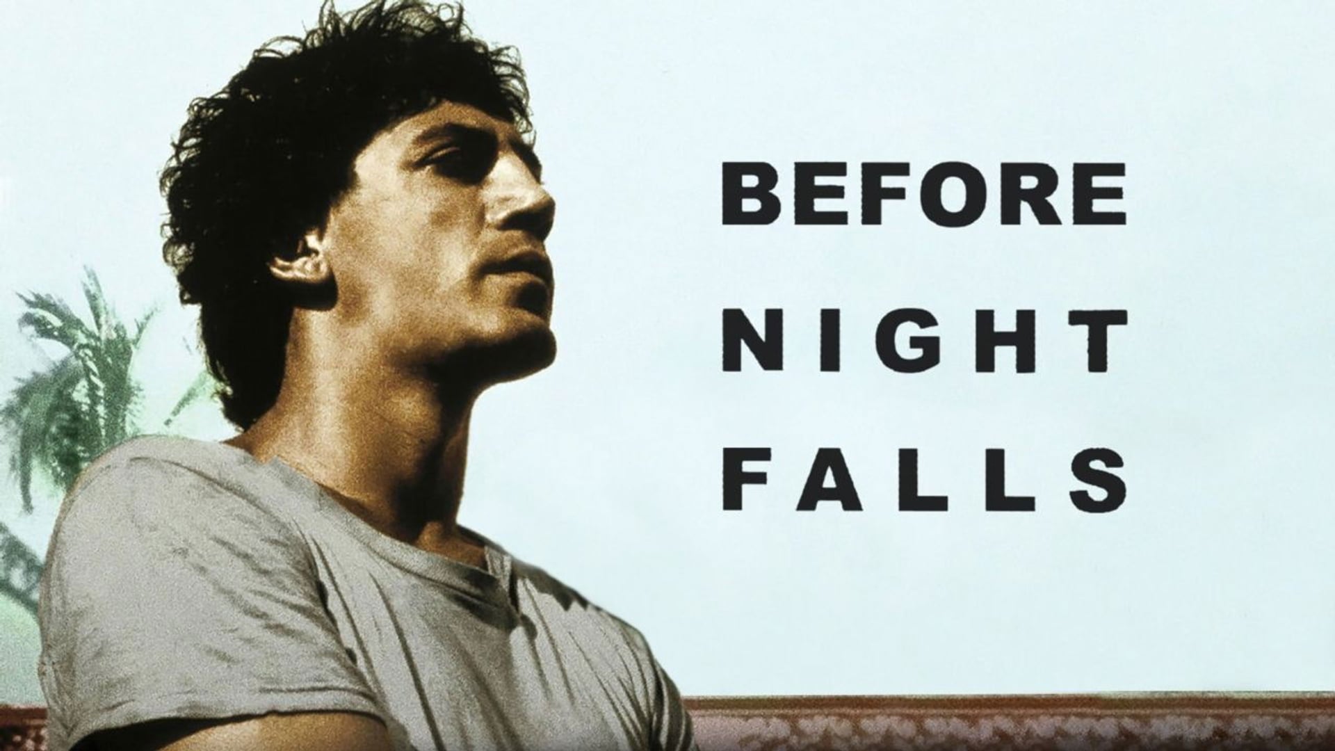Foto do filme Antes do Anoitecer