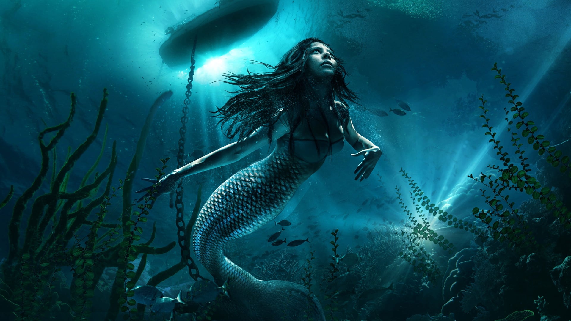 Foto do filme A Maldição da Sereia