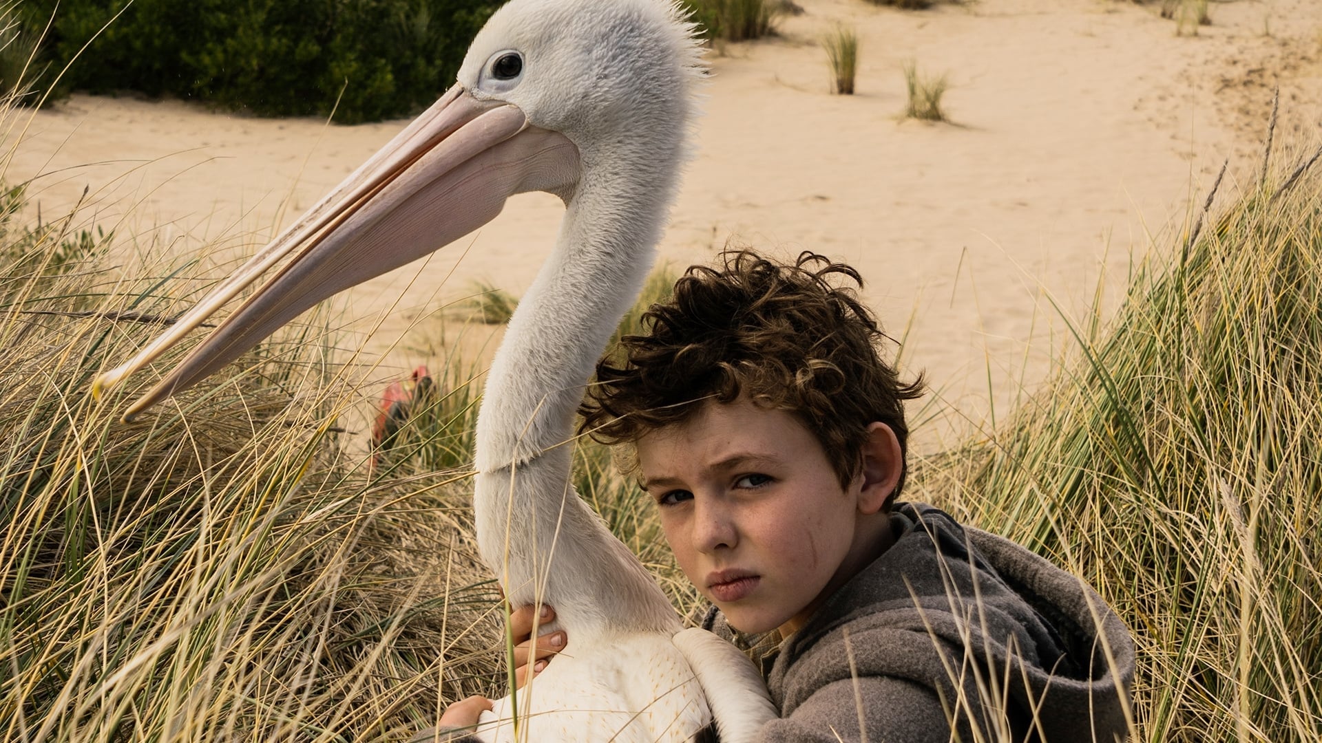 Foto do filme Amigos para Sempre