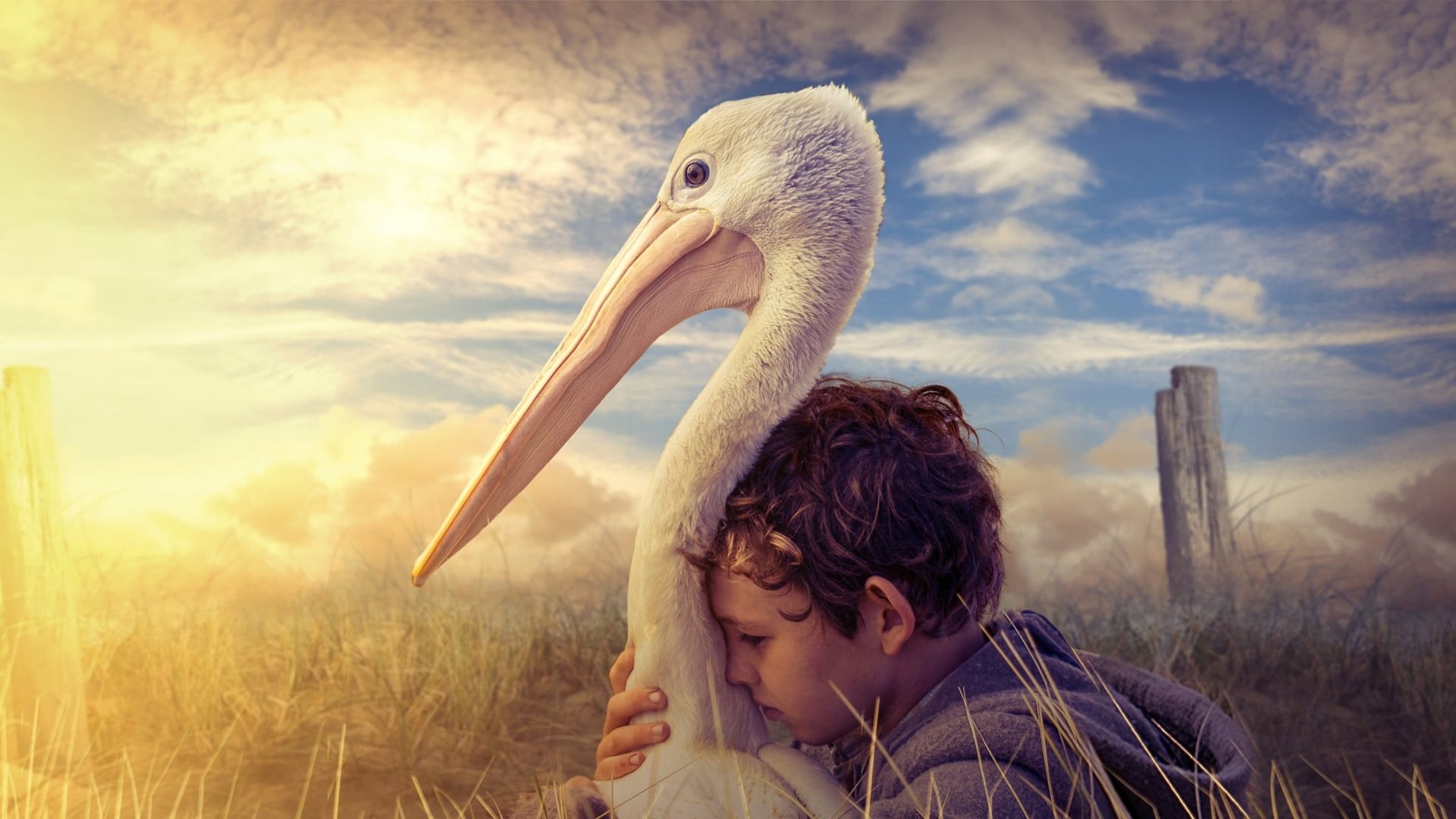 Foto do filme Amigos para Sempre