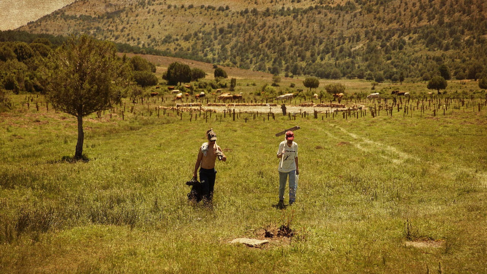 Foto do filme Sad Hill Unearthed