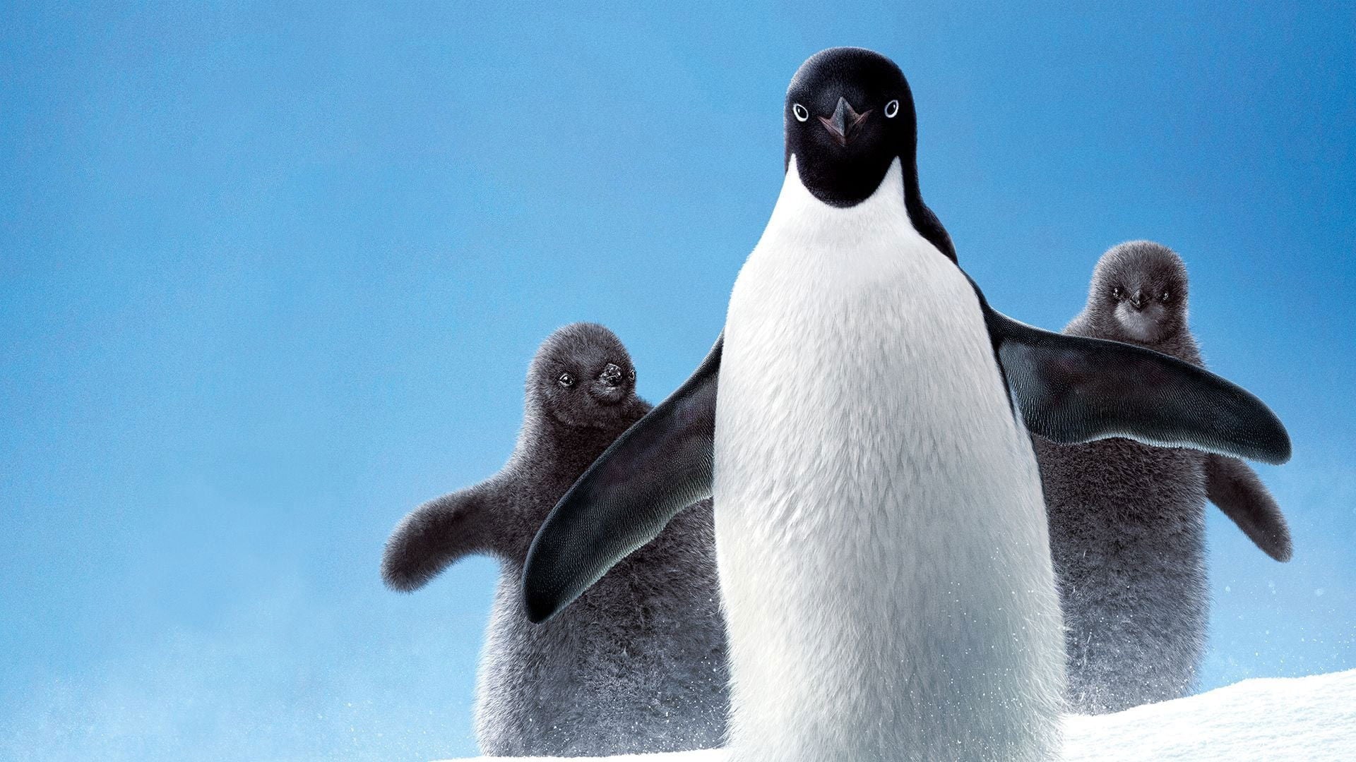 Foto do filme Pinguins