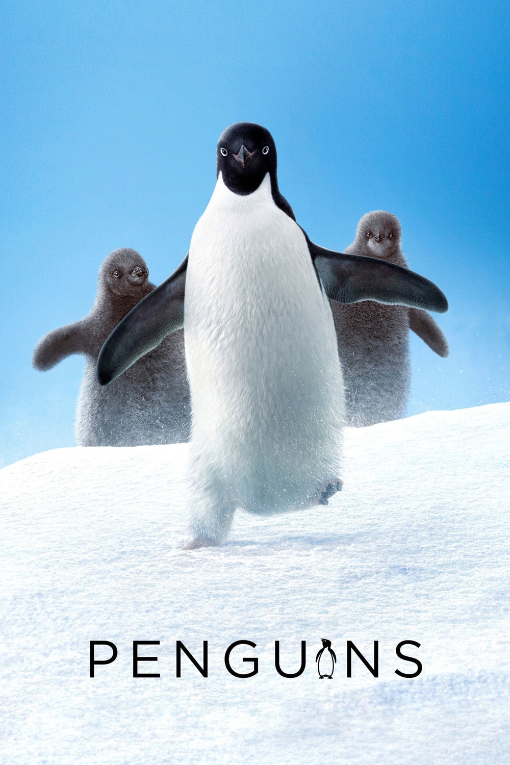 Pinguins