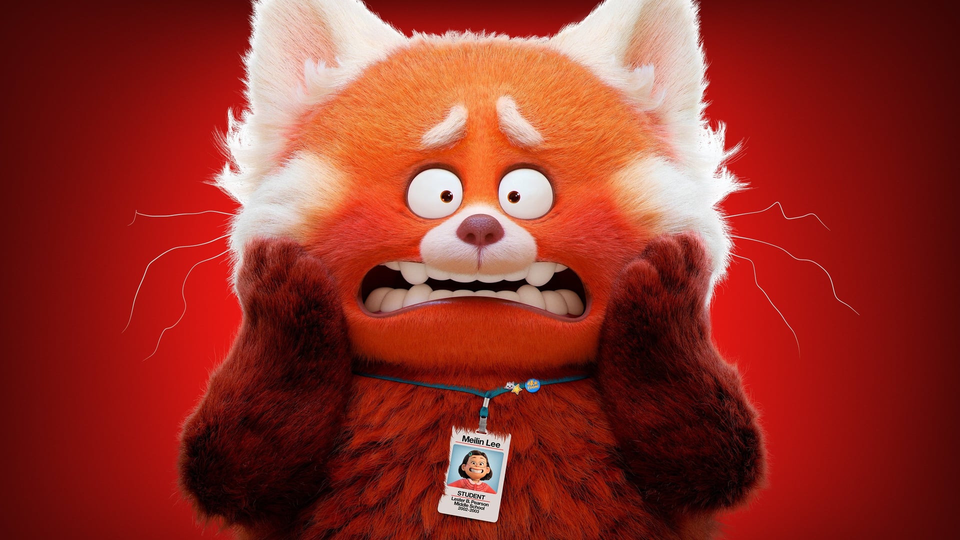 Foto do filme Red: Crescer é Uma Fera