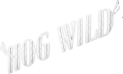 Foto do filme Hog Wild