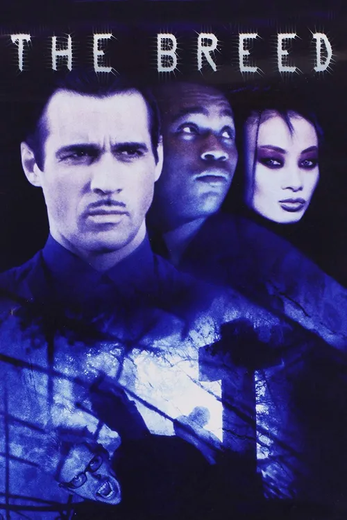 Cidade Dos Vampiros