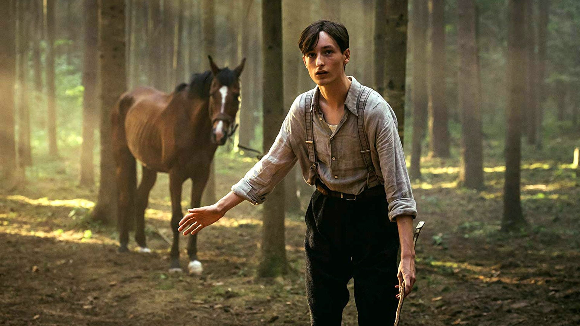 Foto do filme Cavalos Roubados