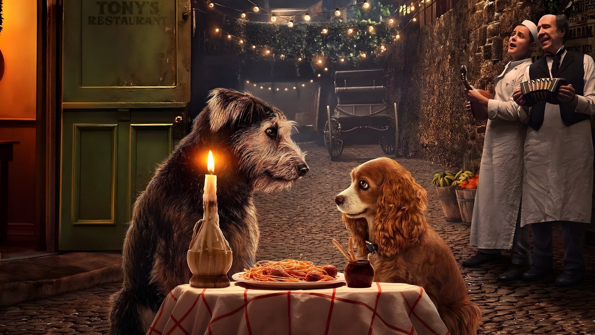 Foto do filme A Dama e o Vagabundo