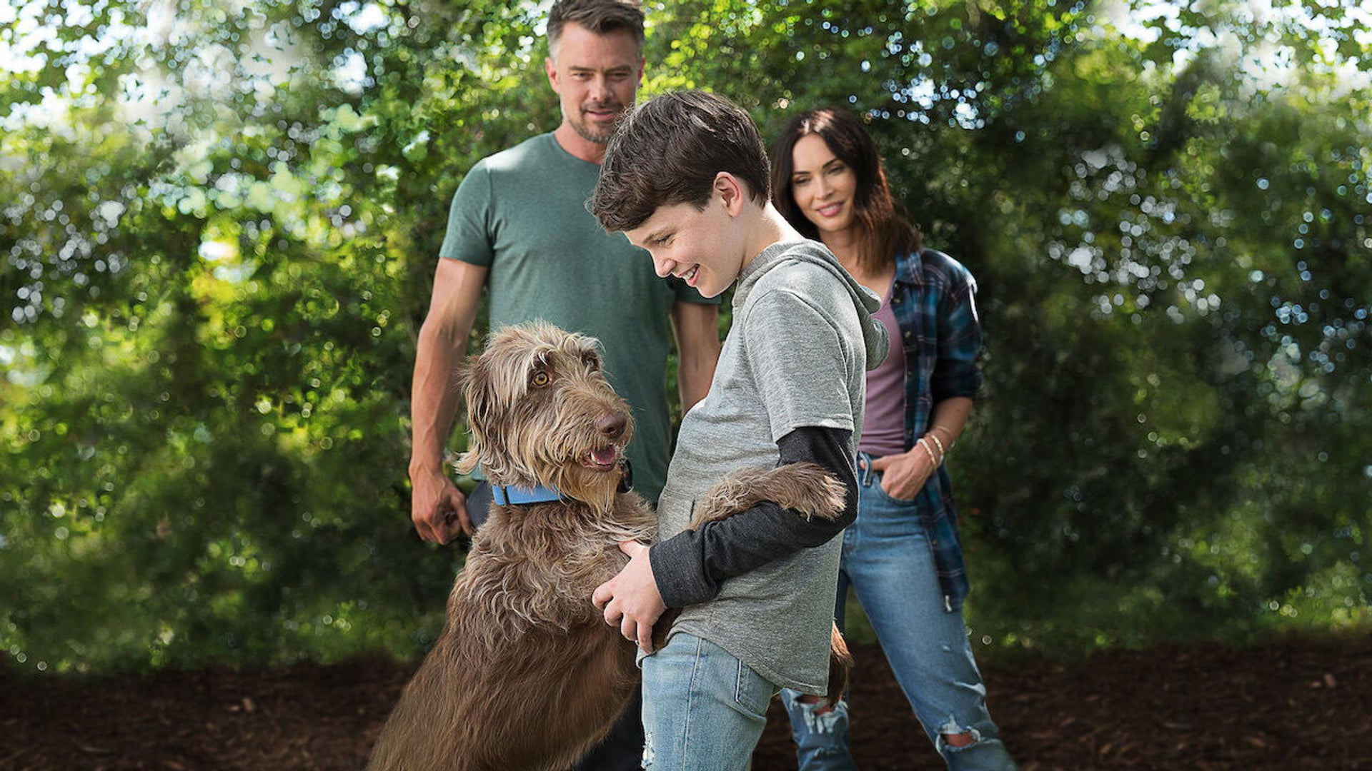 Foto do filme Pense Como um Cão