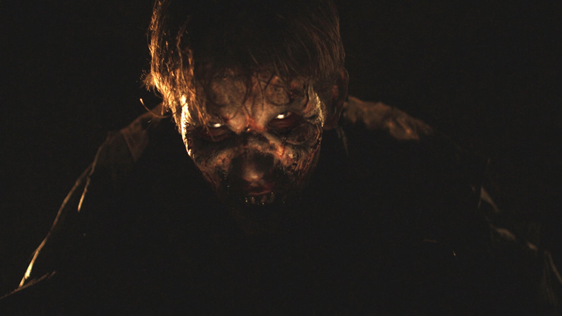Foto do filme Stake Land - Anoitecer Violento
