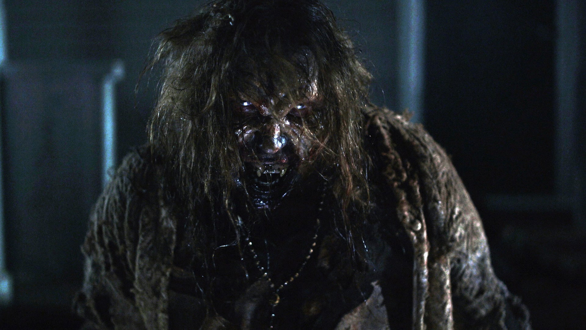 Foto do filme Stake Land - Anoitecer Violento