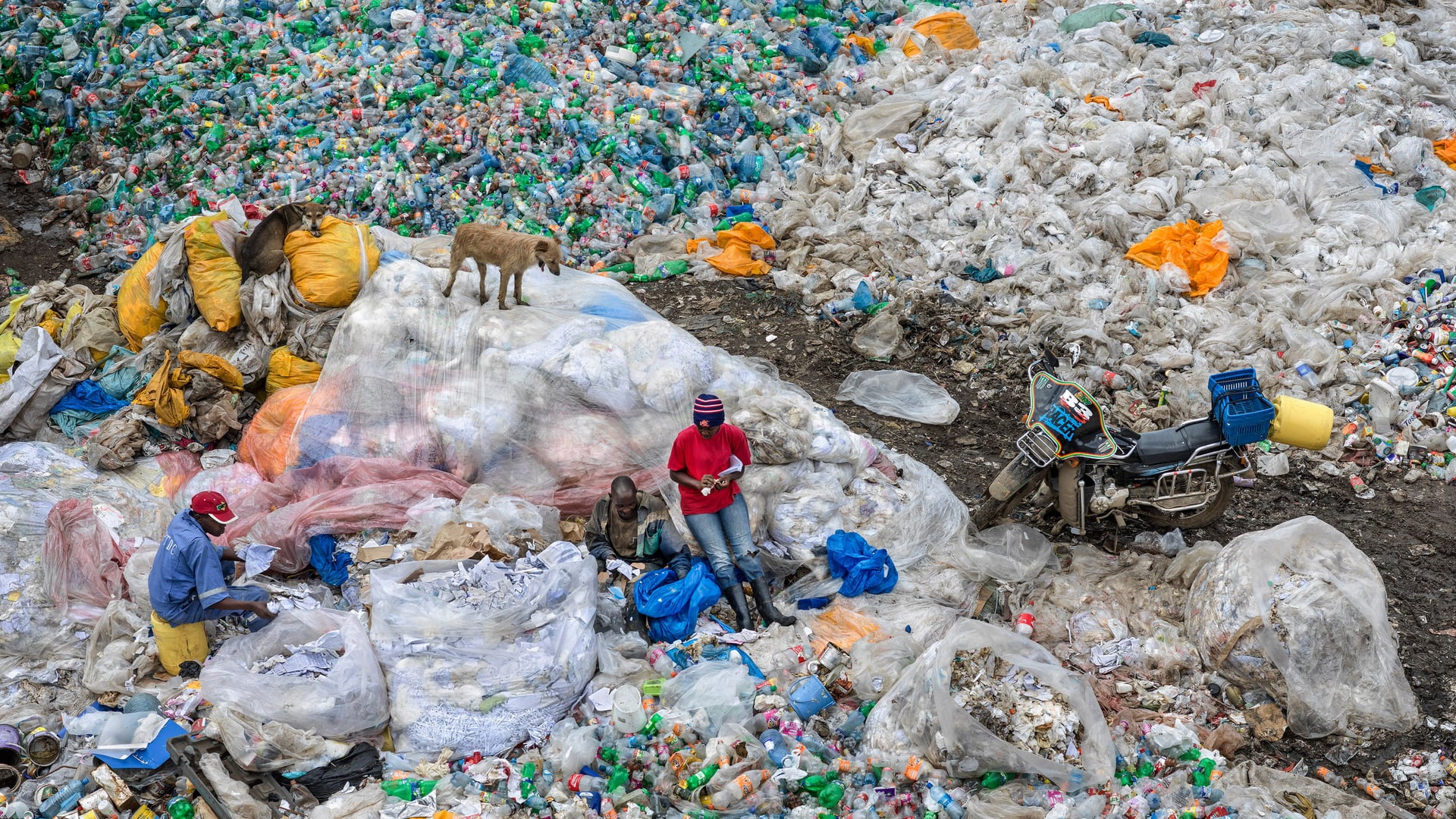 Foto do filme Antropoceno: A Era Humana