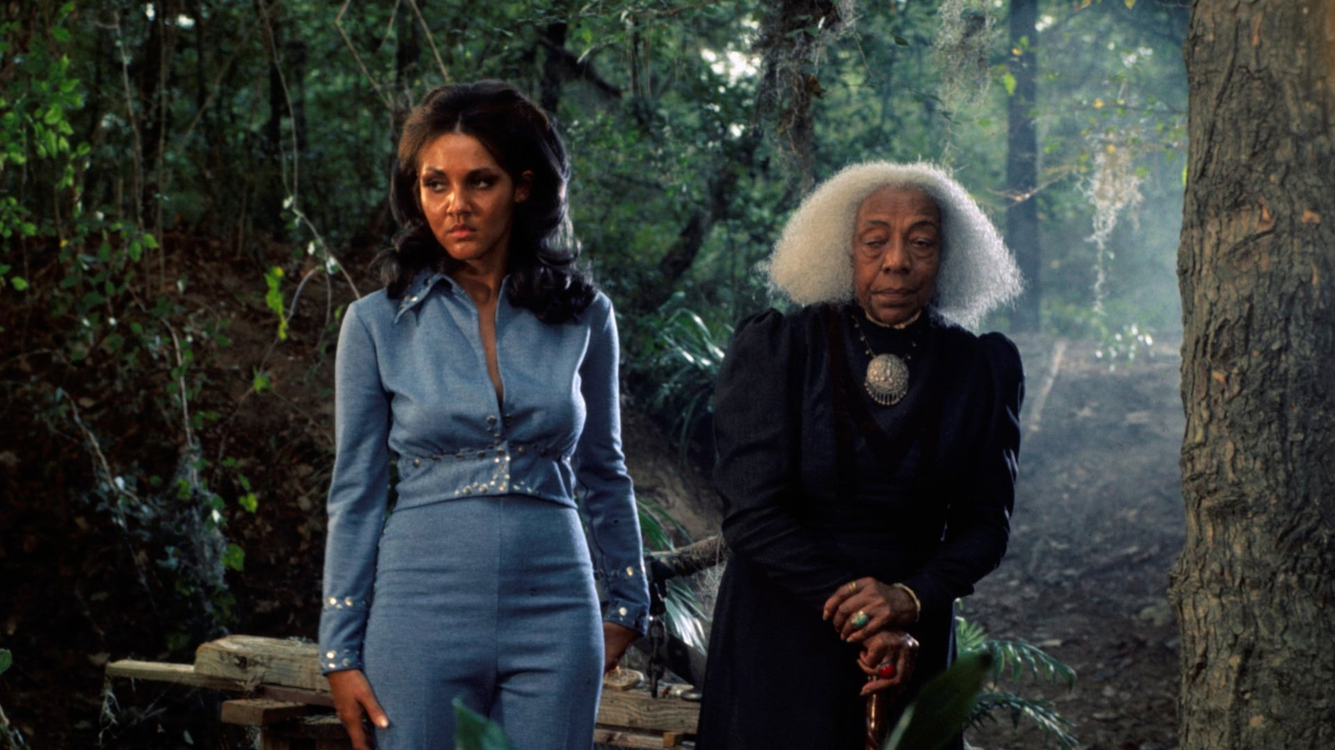 Foto do filme A Vingança dos Mortos