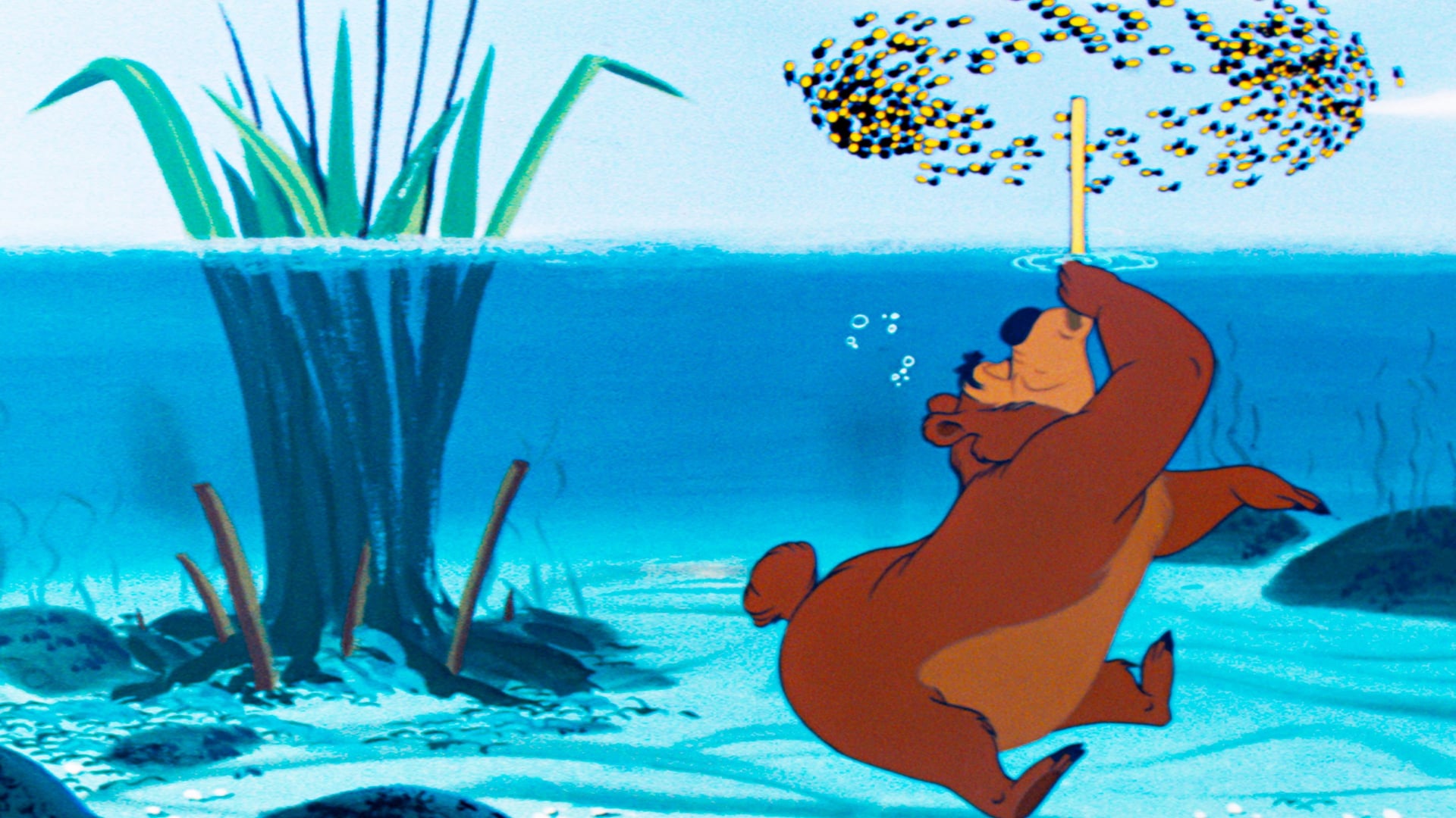 Foto do filme O Urso Abelhudo