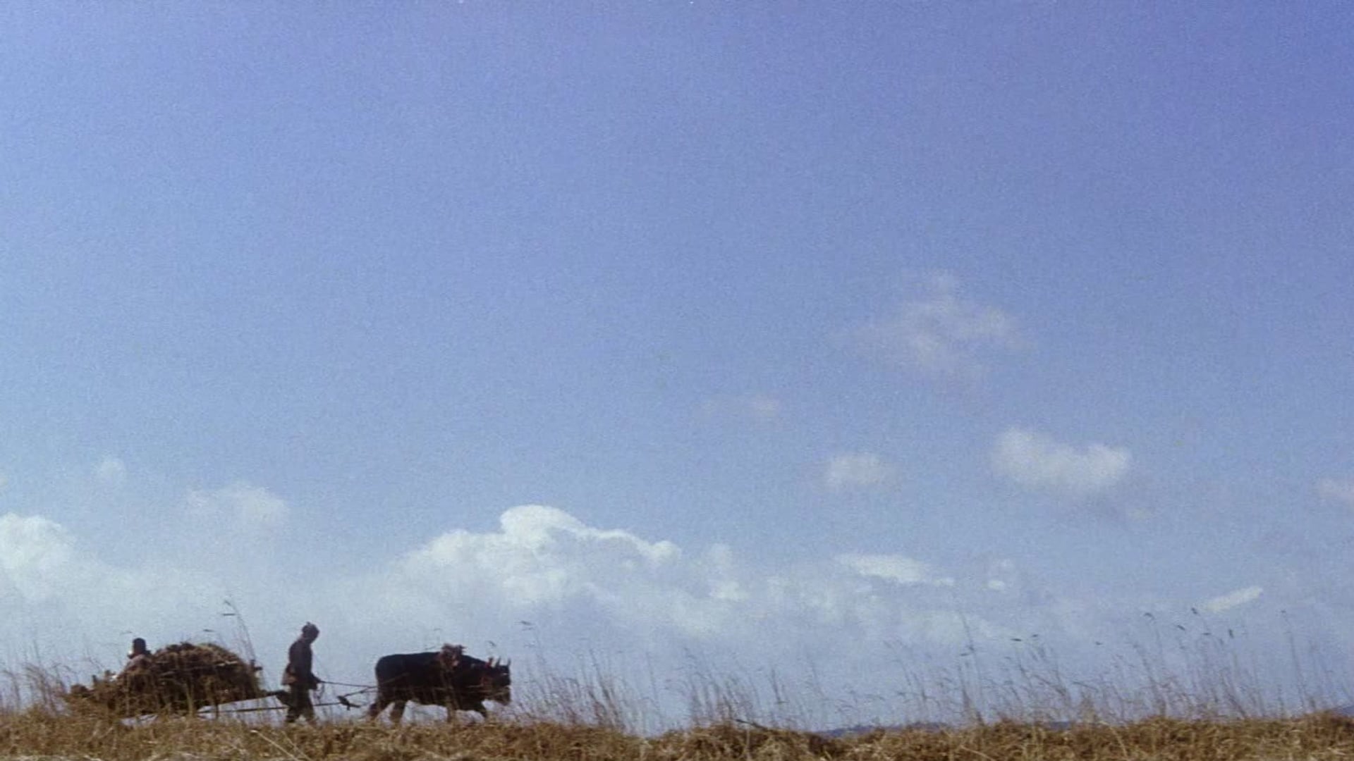 Foto do filme A Vingança de Zatoichi
