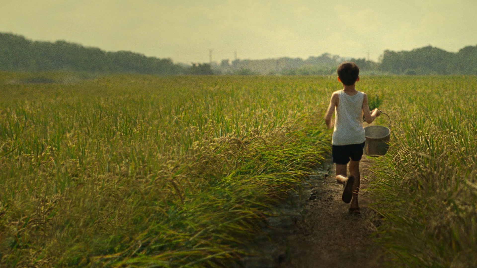 Foto do filme Tigertail