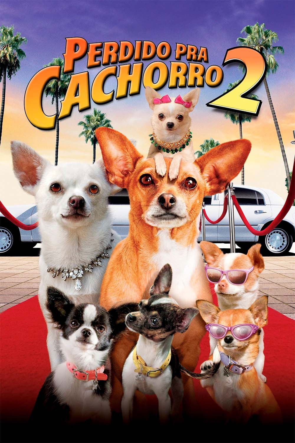 Perdido pra Cachorro 2