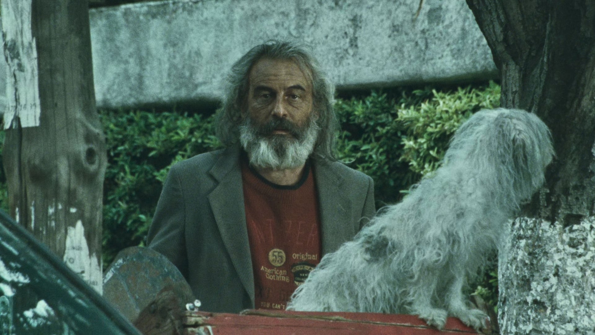 Foto do filme Amores Brutos