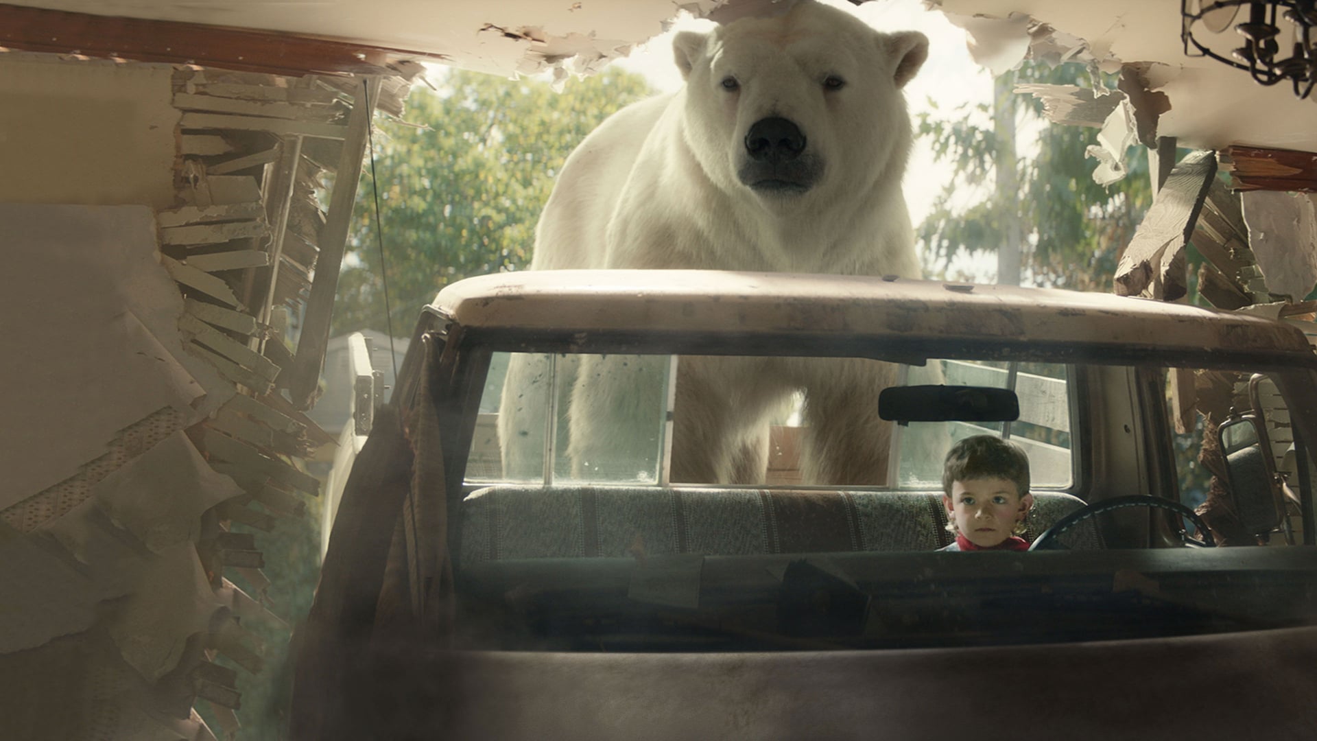 Foto do filme Timmy Fiasco