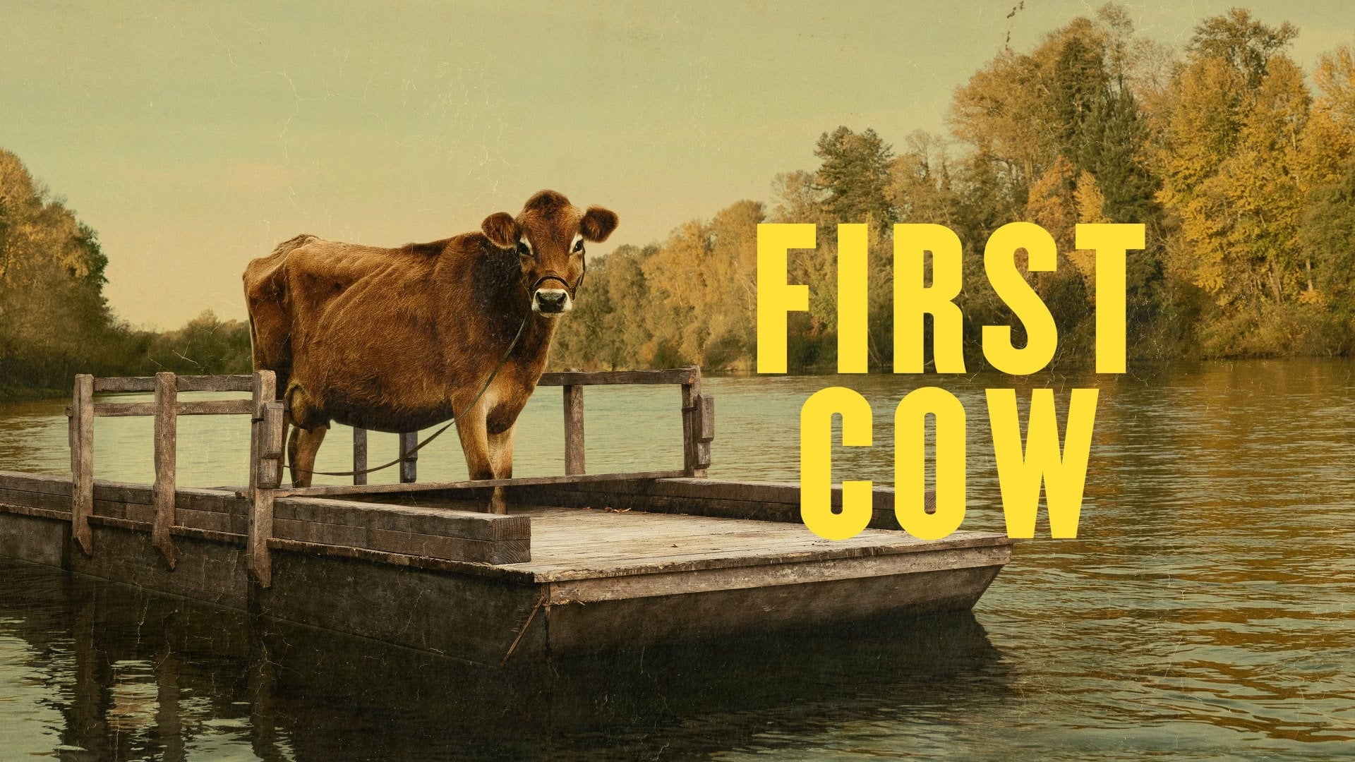 Foto do filme First Cow - A Primeira Vaca da América