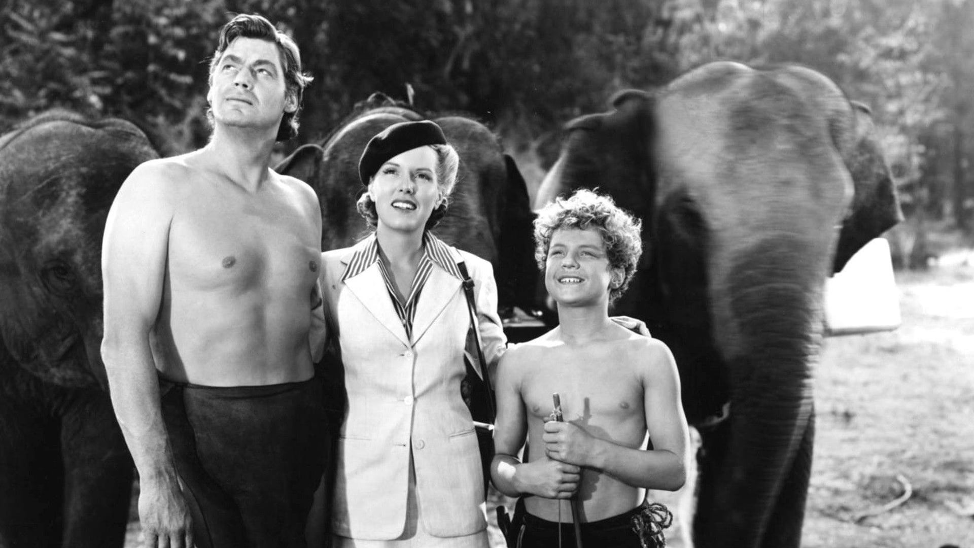 Foto do filme Tarzan e as Amazonas