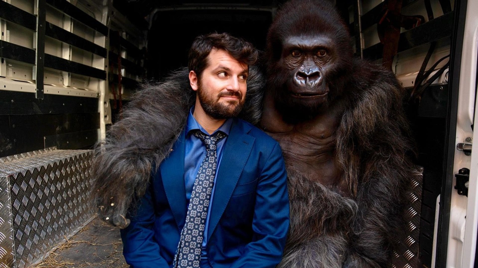 Foto do filme Attenti al gorilla