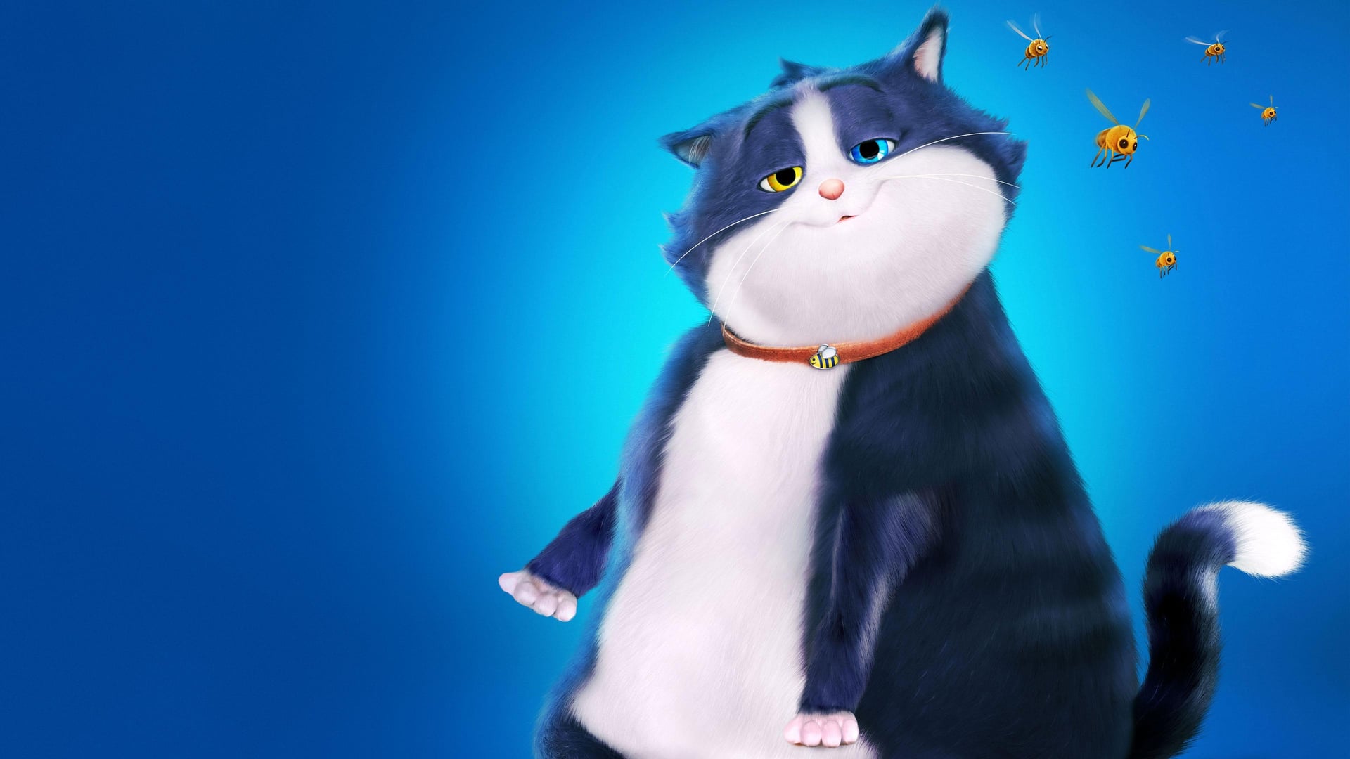 Foto do filme Um Gato de Sorte