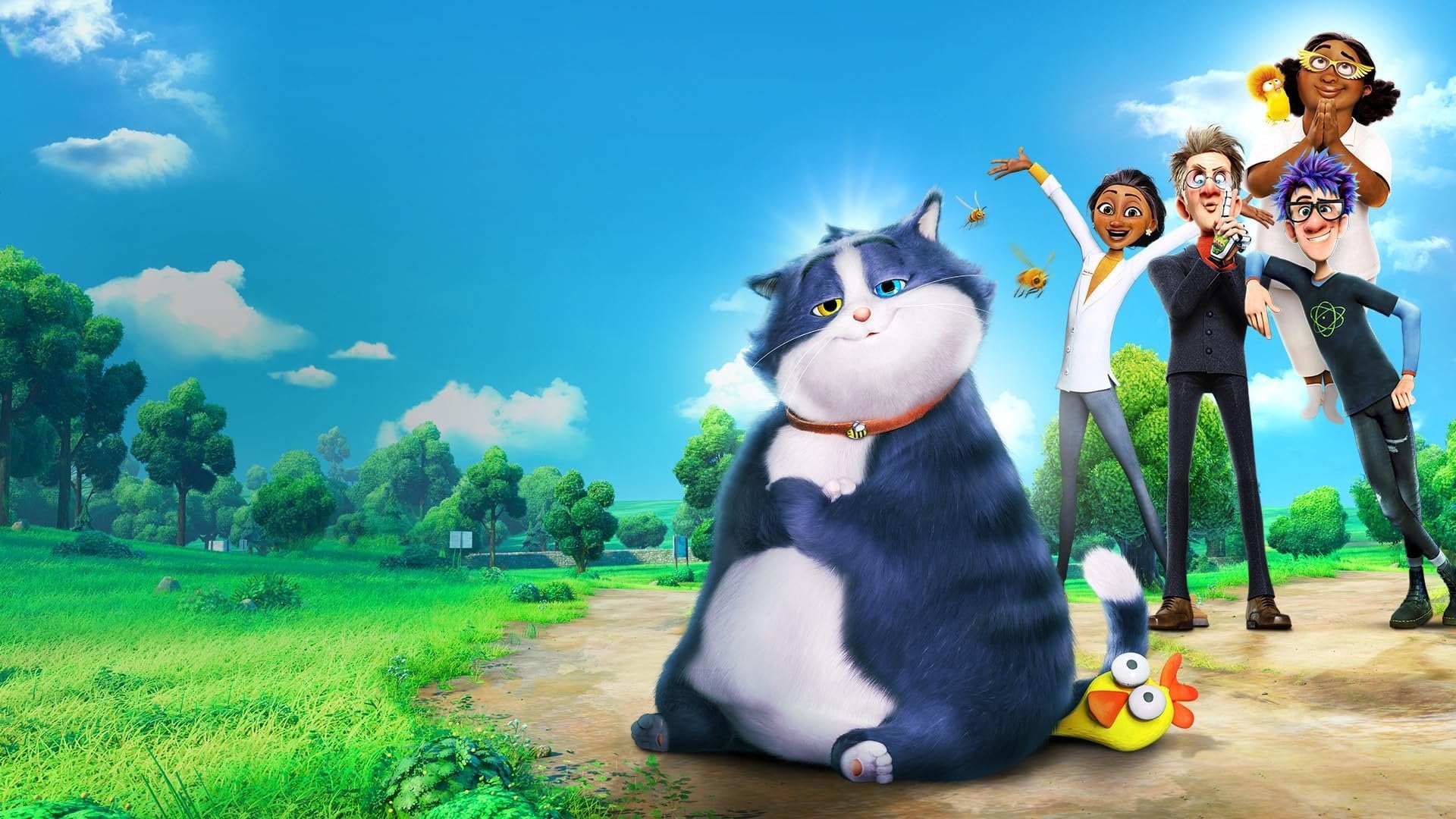 Foto do filme Um Gato de Sorte