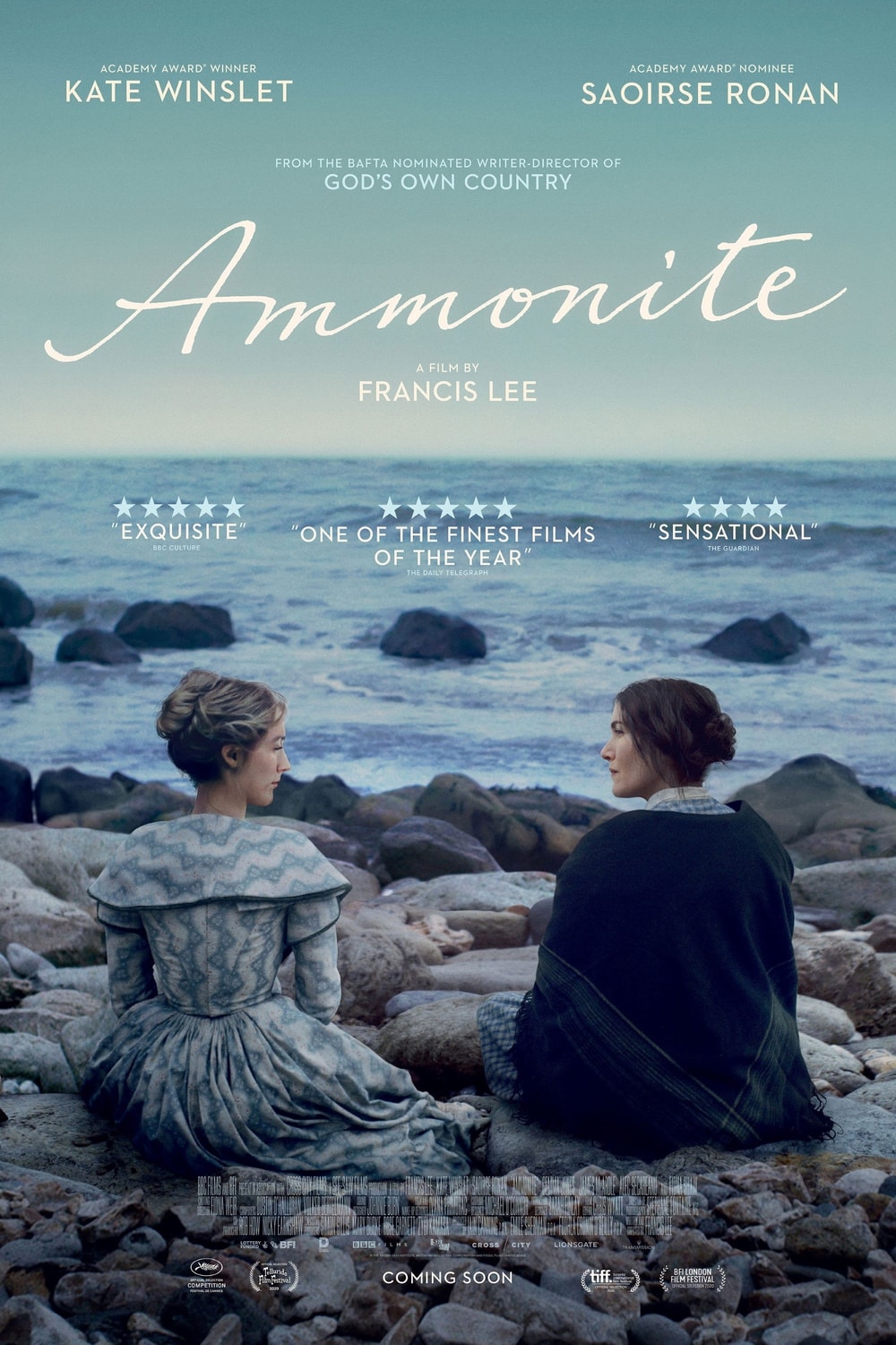 Amonite