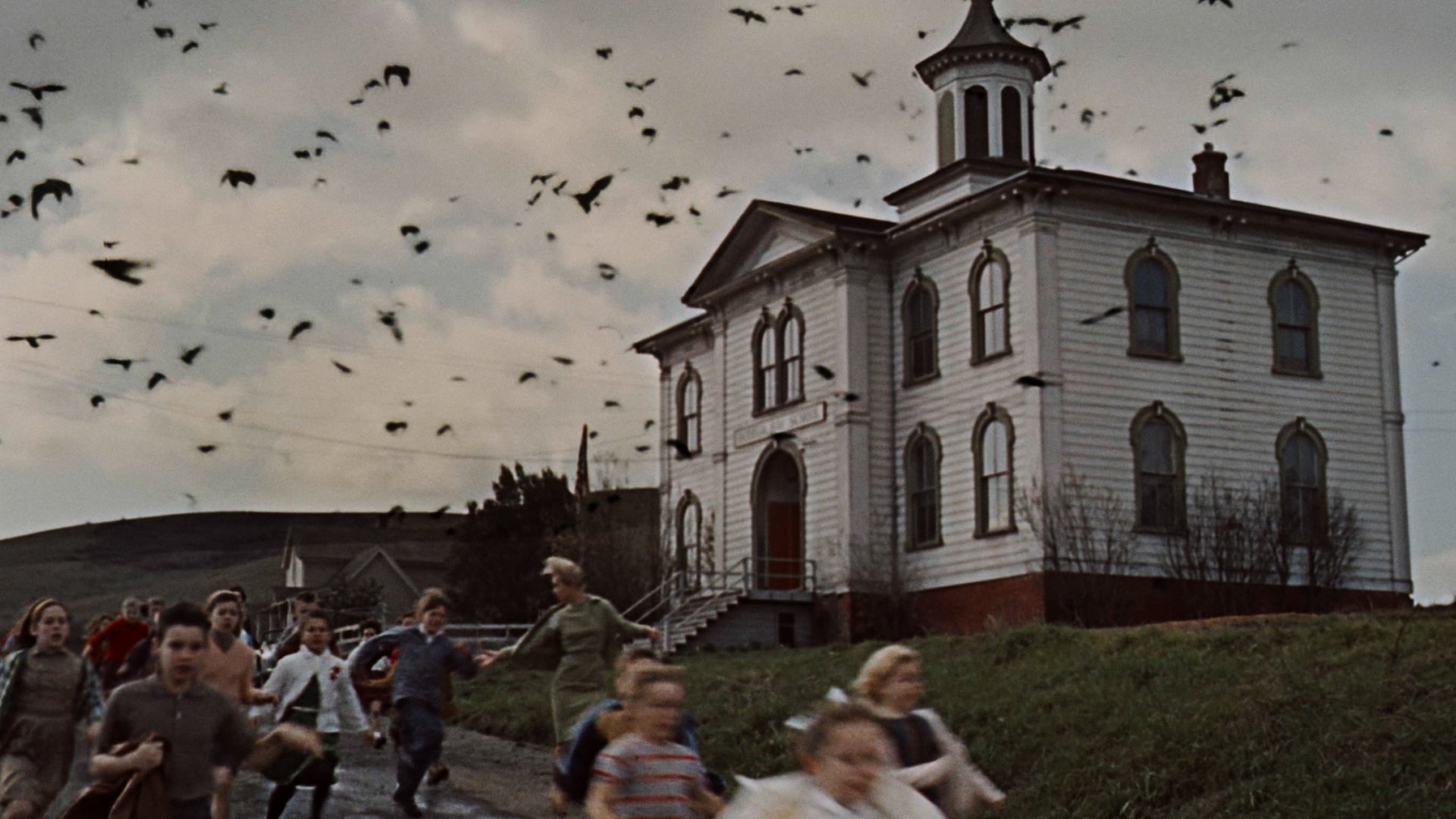 Foto do filme Os Pássaros