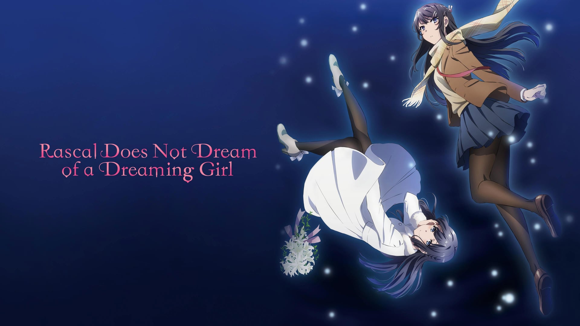 Foto do filme Rascal Does Not Dream of a Dreaming Girl