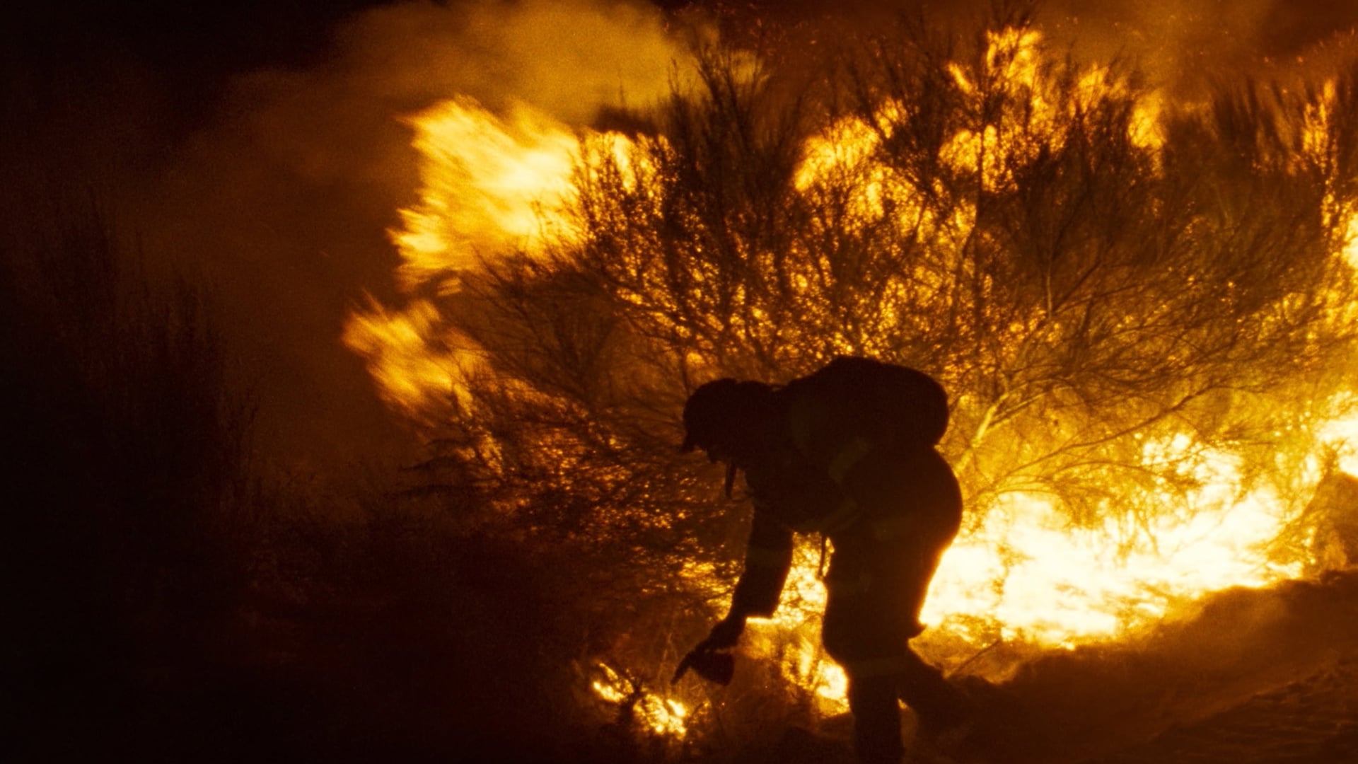 Foto do filme O que arde