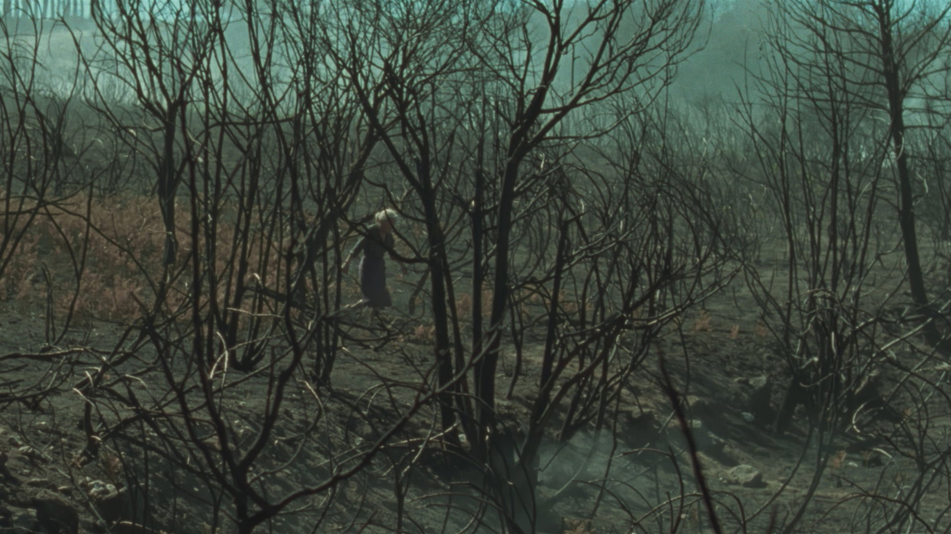 Foto do filme O que arde