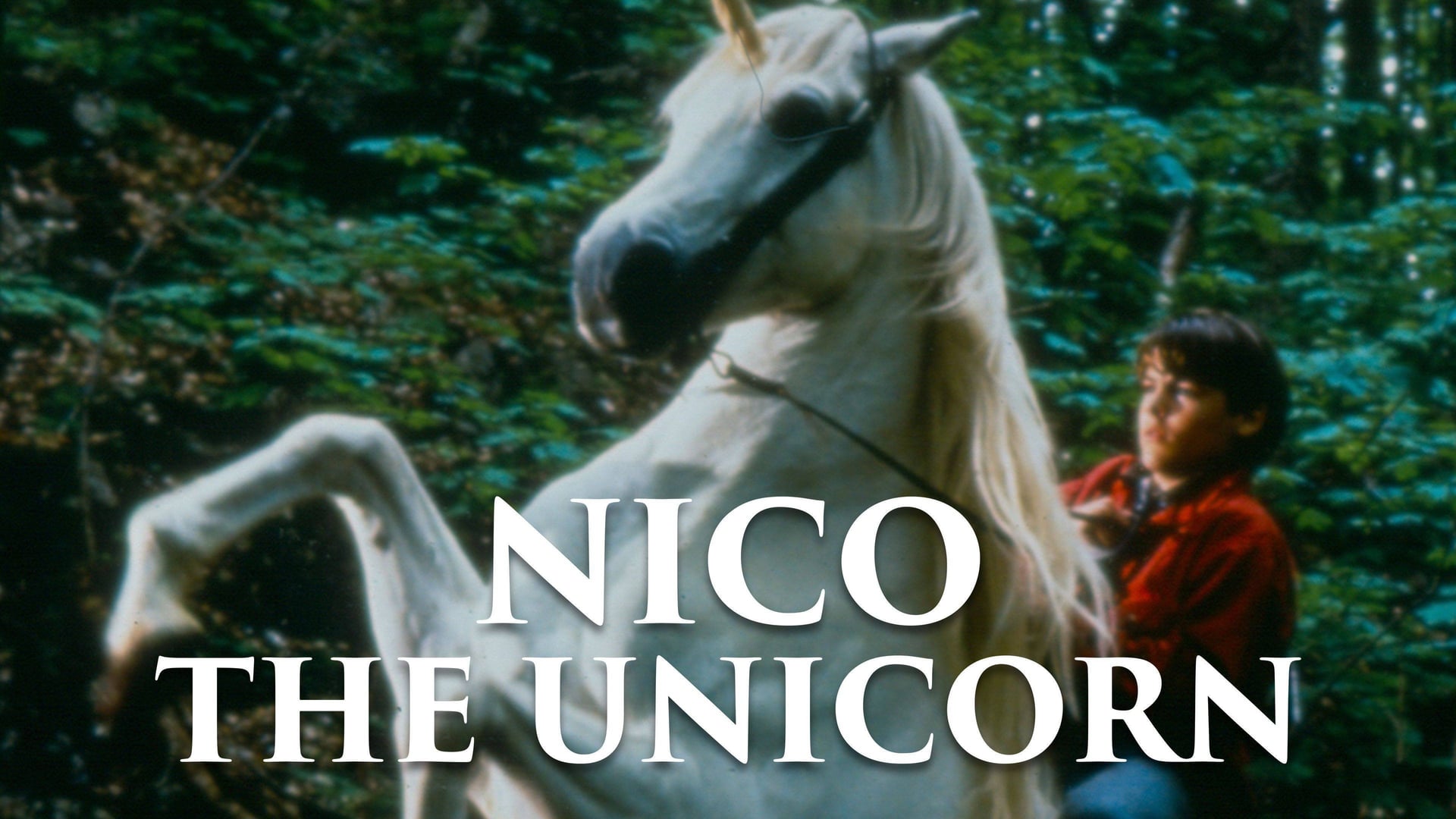 Foto do filme Meu Amigo, o Unicórnio