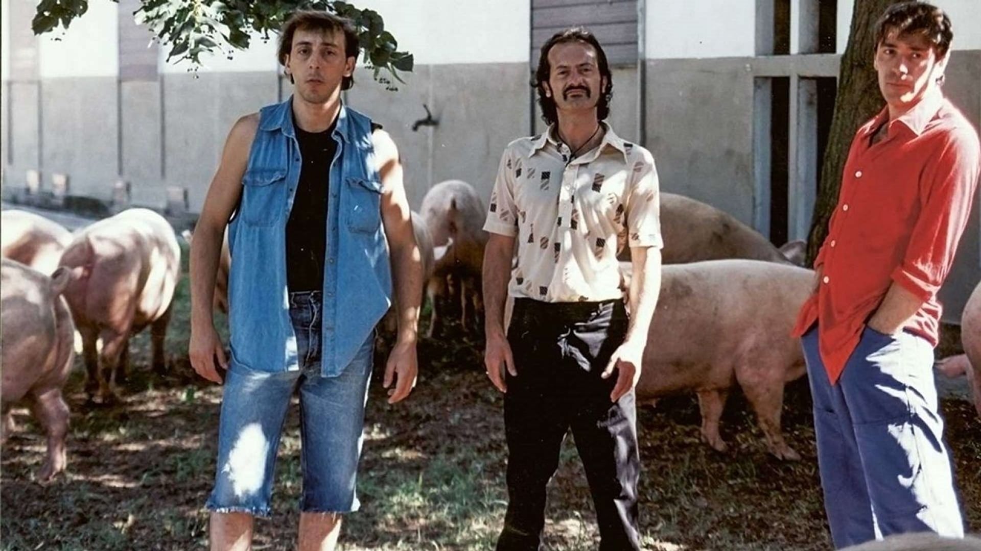 Foto do filme Viola bacia tutti