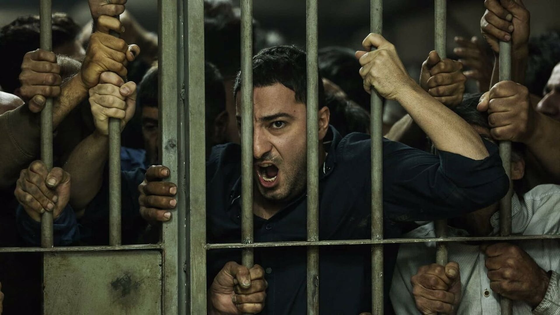 Foto do filme Law of  Tehran