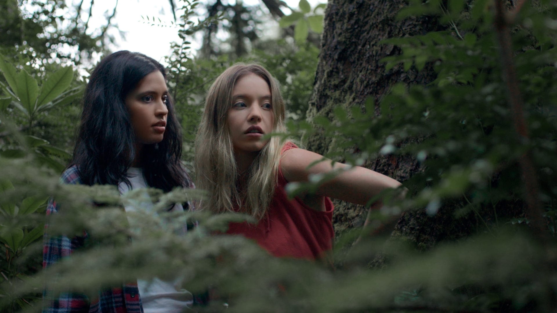Foto do filme Clementine