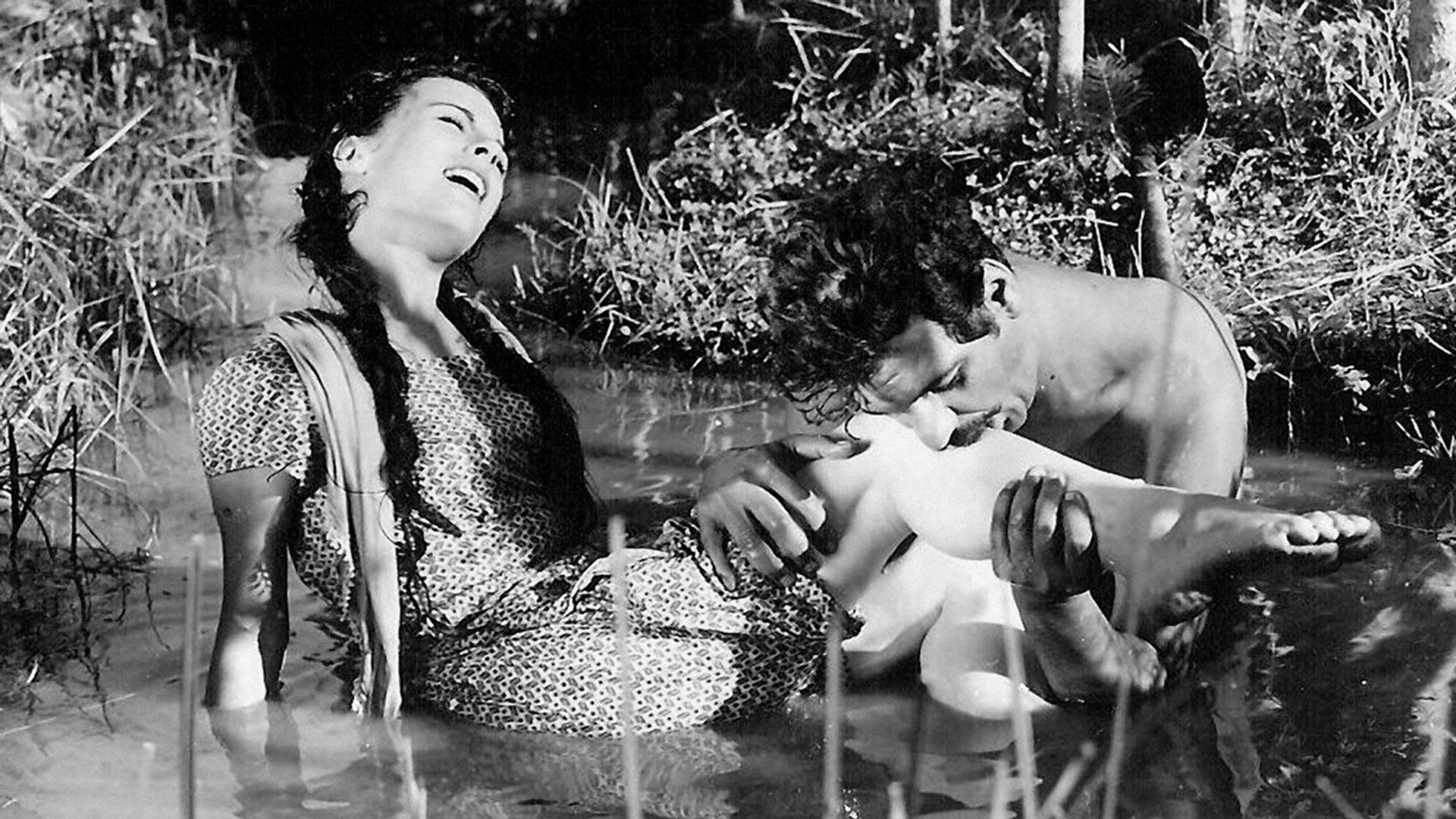 Foto do filme Verão Seco